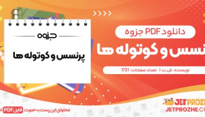 دانلود PDF کتاب پرنسس و کوتوله ها ش.ت